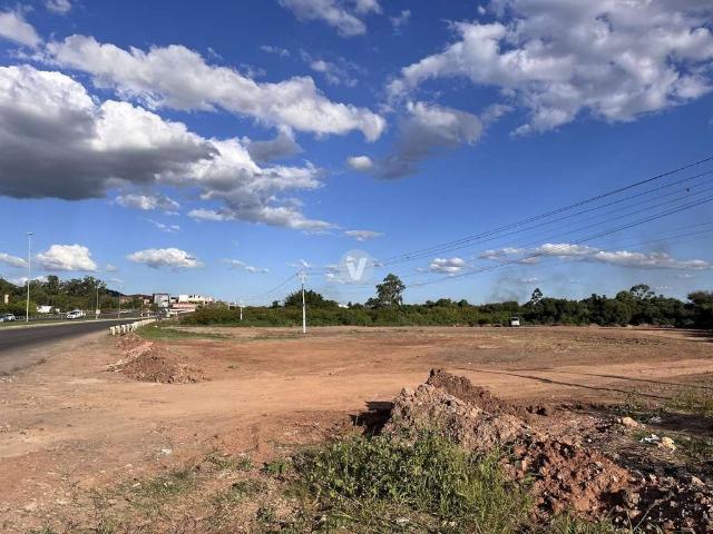 Terreno / Lote para Venda em Santa Maria/RS Patronato