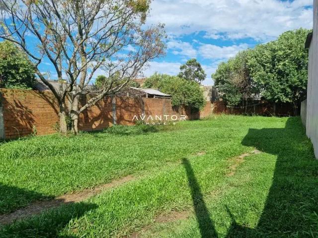 Terreno / Lote para Venda em Santa Maria/RS Patronato