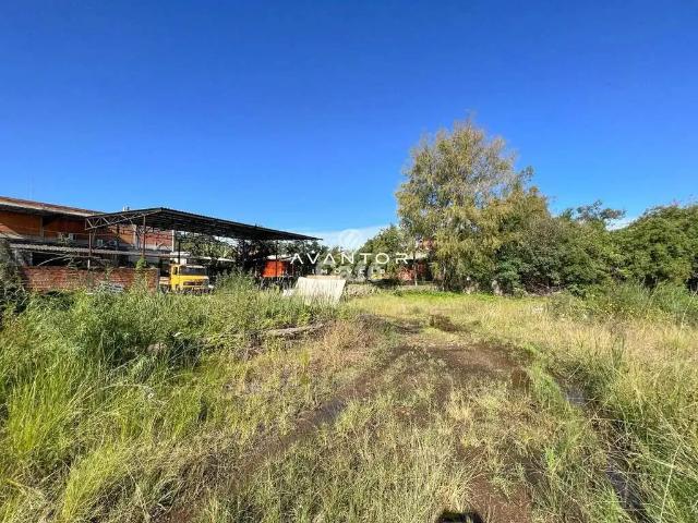 Terreno / Lote para Venda em Santa Maria/RS Patronato