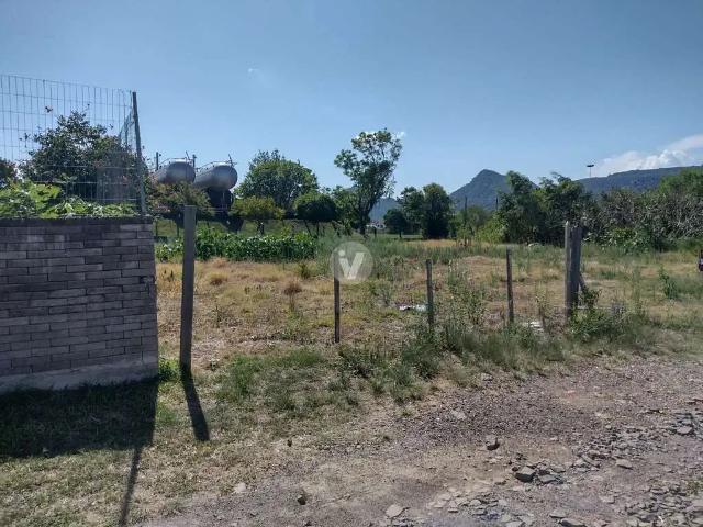 Terreno / Lote para Venda em Santa Maria/RS Pé de Plátano