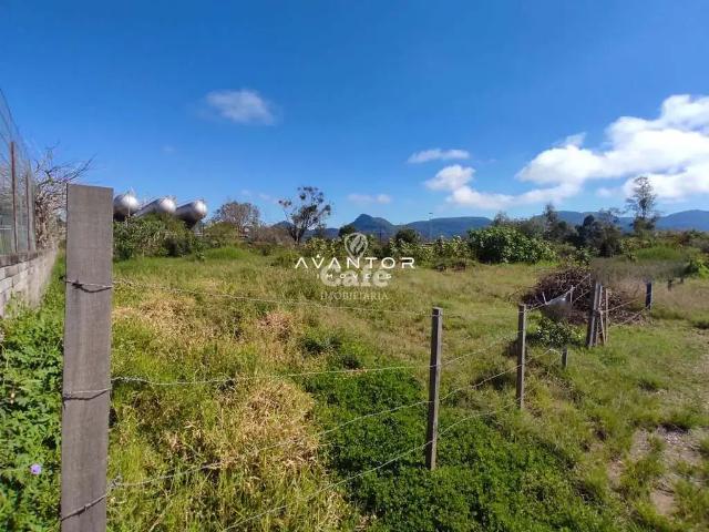 Terreno / Lote para Venda em Santa Maria/RS Pé de Plátano