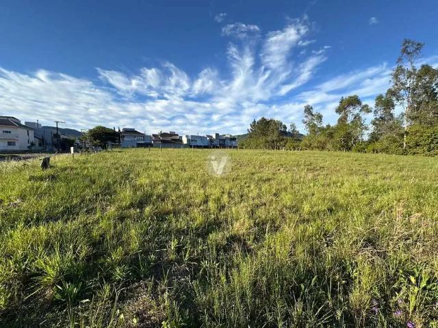 Terreno / Lote para Venda em Santa Maria/RS Pé de Plátano