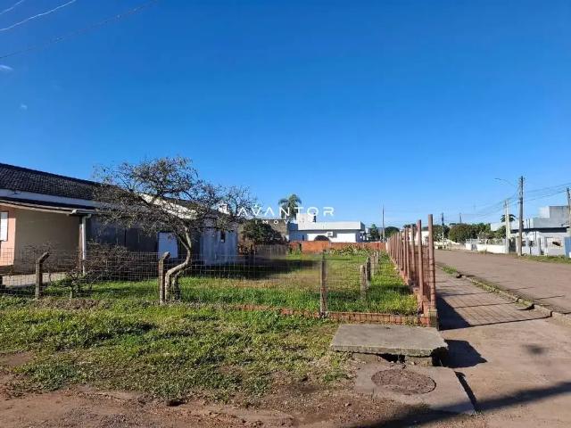 Terreno / Lote para Venda em Santa Maria/RS Pé de Plátano