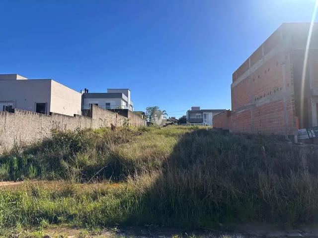 Terreno / Lote para Venda em Santa Maria/RS Pé de Plátano