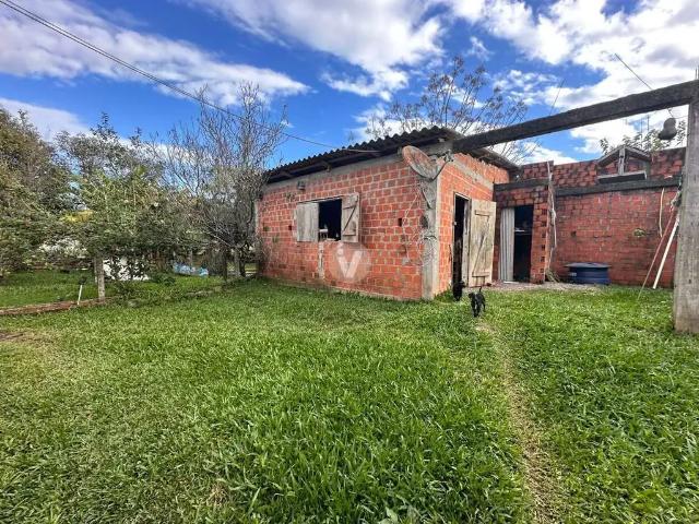 Terreno / Lote para Venda em Santa Maria/RS Pé de Plátano