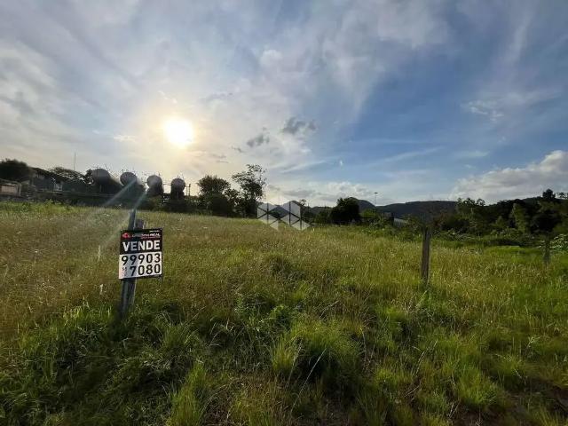 Terreno / Lote para Venda em Santa Maria/RS Pé de Plátano