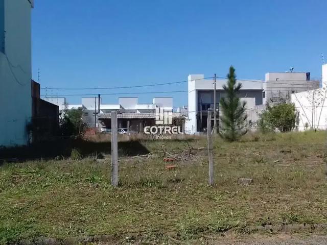Terreno / Lote para Venda em Santa Maria/RS Pé de Plátano