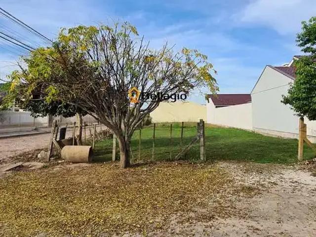 Terreno / Lote para Venda em Santa Maria/RS Pé de Plátano