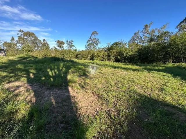 Terreno / Lote para Venda em Santa Maria/RS Pé de Plátano