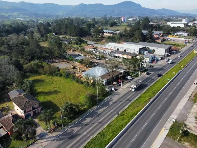 Terreno / Lote para Venda em Santa Maria/RS Pé de Plátano