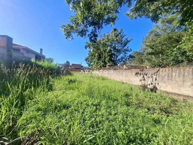Terreno / Lote para Venda em Santa Maria/RS Pé de Plátano
