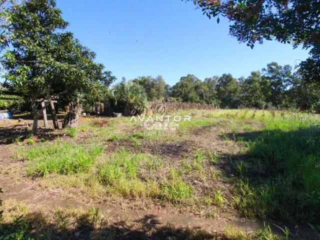 Terreno / Lote para Venda em Santa Maria/RS Pé de Plátano