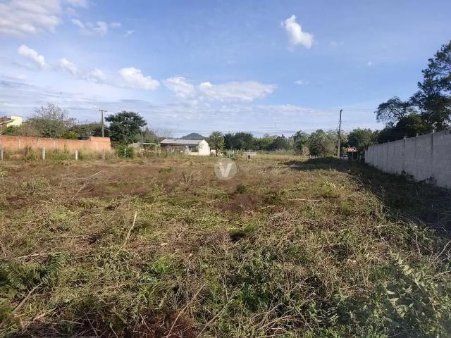 Terreno / Lote para Venda em Santa Maria/RS Pé de Plátano