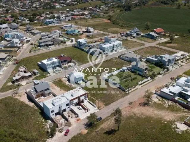 Terreno / Lote para Venda em Santa Maria/RS Pé de Plátano