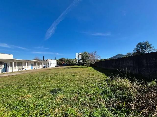 Terreno / Lote para Venda em Santa Maria/RS Pé de Plátano