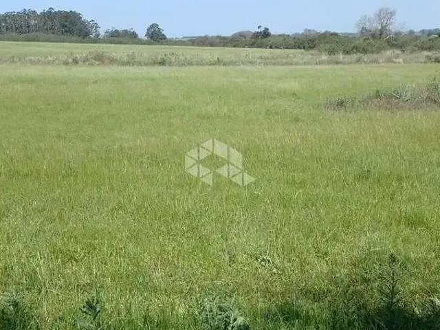 Terreno / Lote para Venda em Santa Maria/RS Pé de Plátano