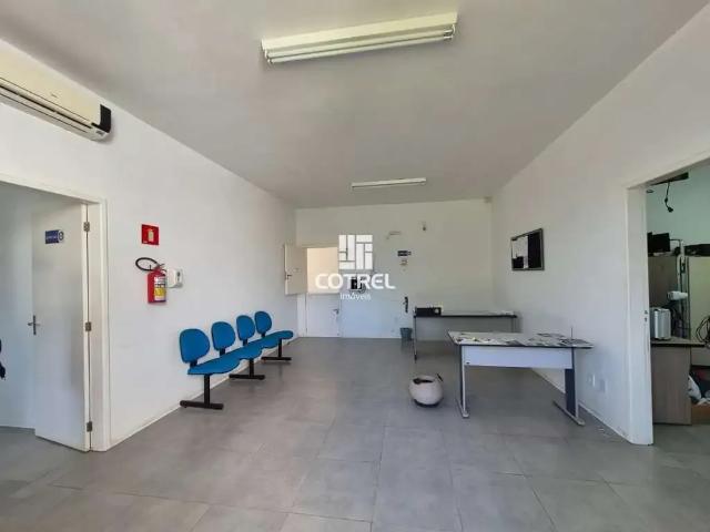 Terreno / Lote para Venda em Santa Maria/RS Pé de Plátano