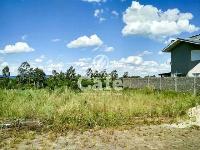 Terreno / Lote para Venda em Santa Maria/RS Pé de Plátano