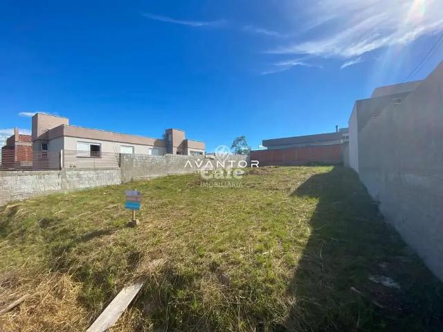 Terreno / Lote para Venda em Santa Maria/RS Pé de Plátano