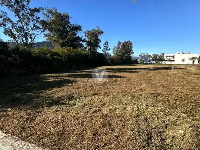Terreno / Lote para Venda em Santa Maria/RS Pé de Plátano