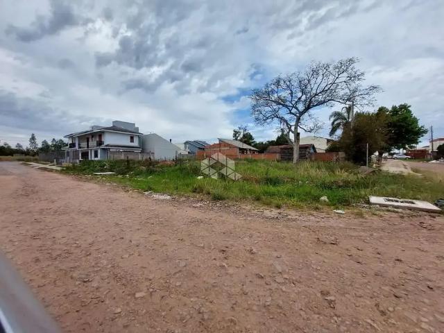 Terreno / Lote para Venda em Santa Maria/RS Pé de Plátano
