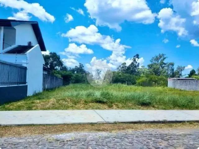 Terreno / Lote para Venda em Santa Maria/RS Pé de Plátano
