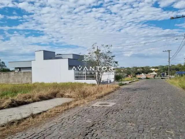 Terreno / Lote para Venda em Santa Maria/RS Pé de Plátano