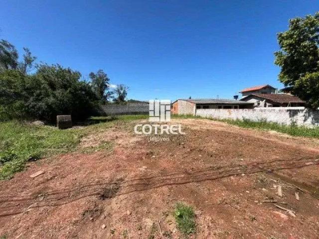 Terreno / Lote para Venda em Santa Maria/RS Pé de Plátano