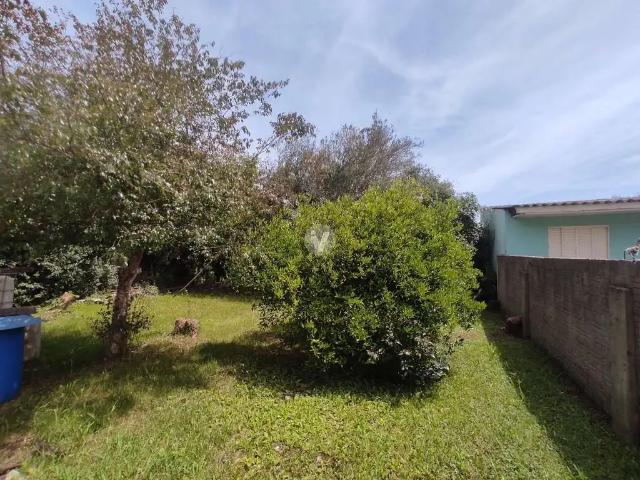 Terreno / Lote para Venda em Santa Maria/RS Pinheiro Machado