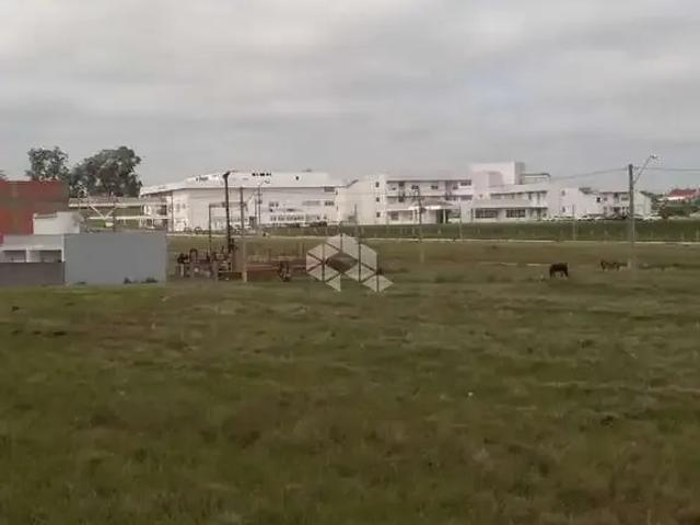 Terreno / Lote para Venda em Santa Maria/RS Pinheiro Machado