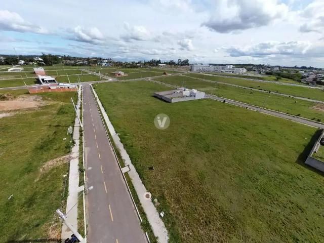 Terreno / Lote para Venda em Santa Maria/RS Pinheiro Machado