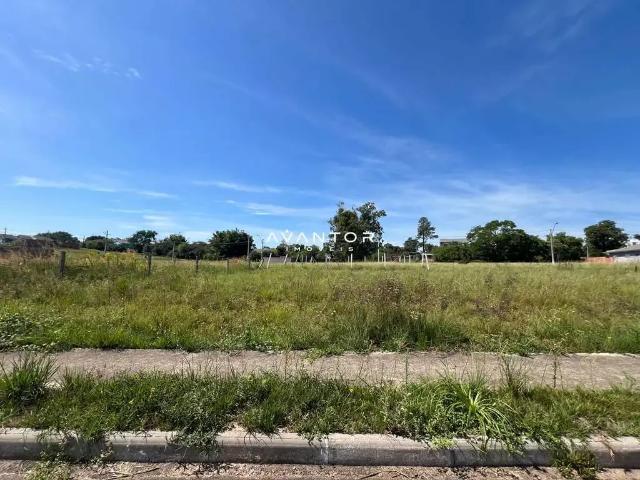 Terreno / Lote para Venda em Santa Maria/RS Pinheiro Machado