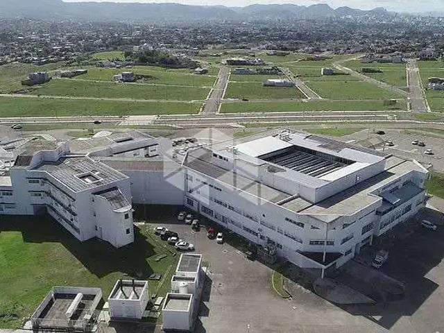 Terreno / Lote para Venda em Santa Maria/RS Pinheiro Machado
