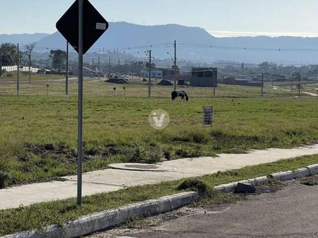 Terreno / Lote para Venda em Santa Maria/RS Pinheiro Machado
