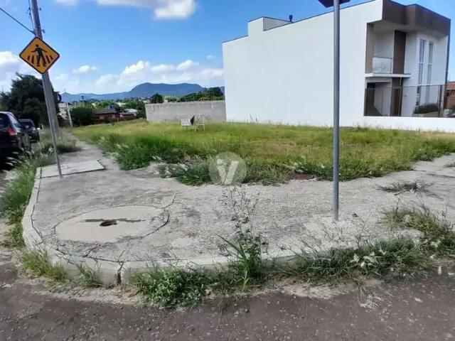 Terreno / Lote para Venda em Santa Maria/RS Pinheiro Machado