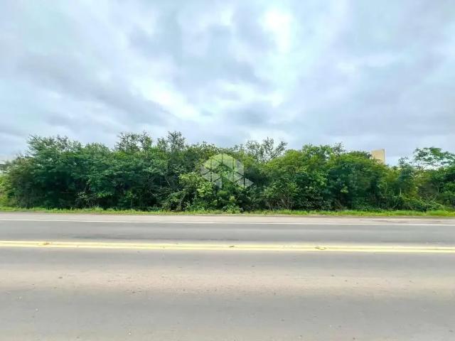 Terreno / Lote para Venda em Santa Maria/RS Pinheiro Machado