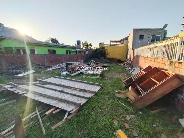 Terreno / Lote para Venda em Santa Maria/RS Pinheiro Machado