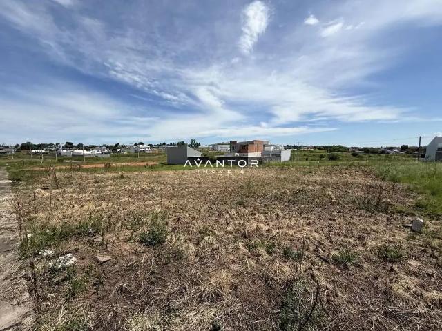 Terreno / Lote para Venda em Santa Maria/RS Pinheiro Machado