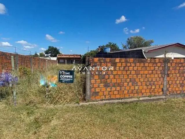 Terreno / Lote para Venda em Santa Maria/RS Pinheiro Machado
