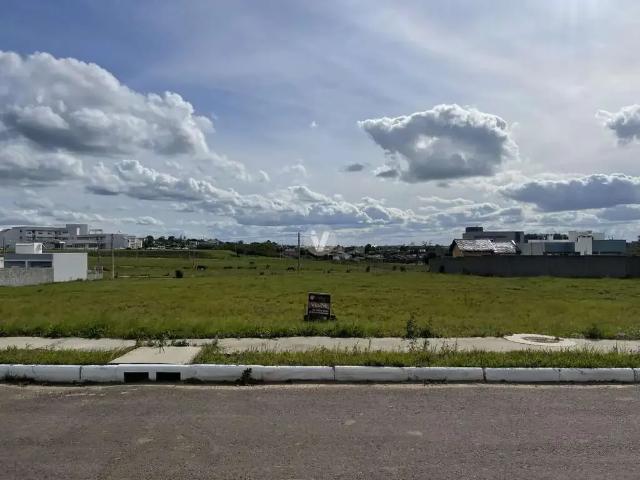 Terreno / Lote para Venda em Santa Maria/RS Pinheiro Machado