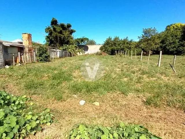 Terreno / Lote para Venda em Santa Maria/RS Pinheiro Machado