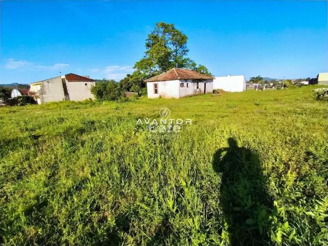 Terreno / Lote para Venda em Santa Maria/RS Pinheiro Machado