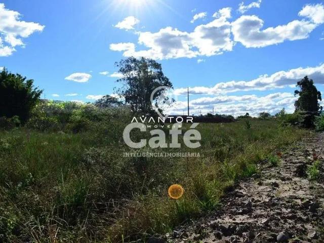 Terreno / Lote para Venda em Santa Maria/RS Pinheiro Machado