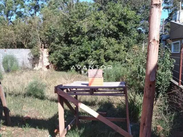 Terreno / Lote para Venda em Santa Maria/RS Pinheiro Machado