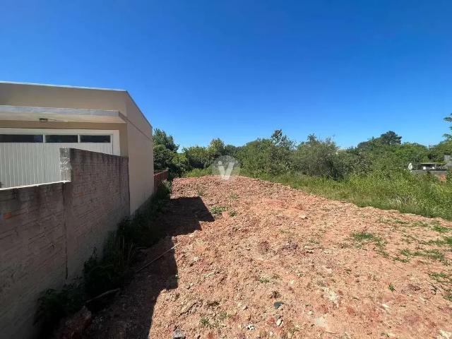 Terreno / Lote para Venda em Santa Maria/RS Pinheiro Machado