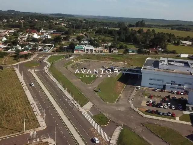 Terreno / Lote para Venda em Santa Maria/RS Pinheiro Machado
