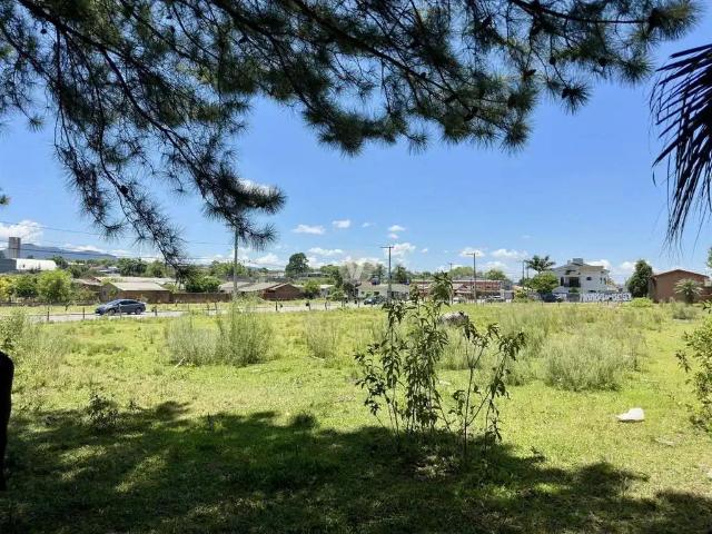 Terreno / Lote para Venda em Santa Maria/RS Pinheiro Machado