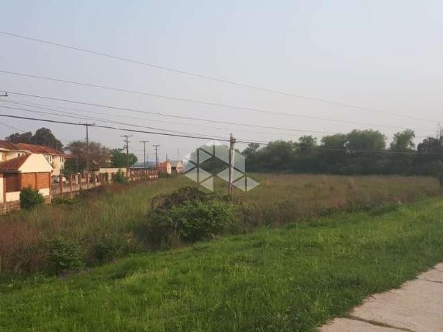 Terreno / Lote para Venda em Santa Maria/RS Pinheiro Machado