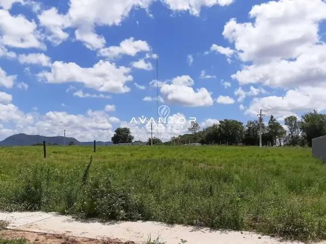 Terreno / Lote para Venda em Santa Maria/RS Pinheiro Machado