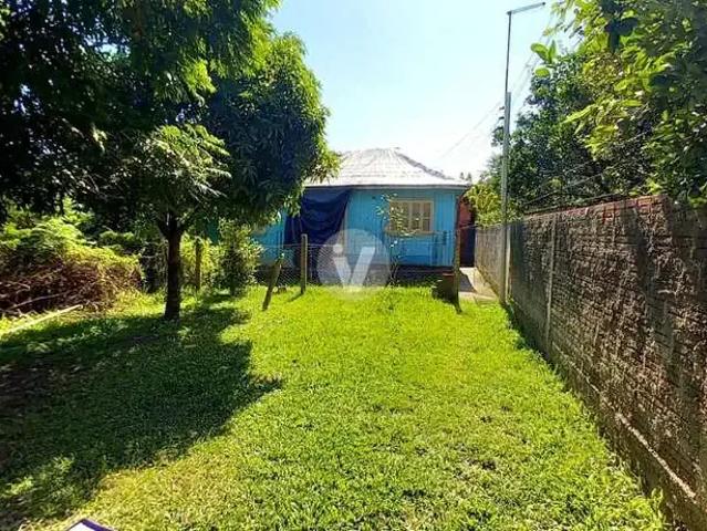 Terreno / Lote para Venda em Santa Maria/RS Pinheiro Machado